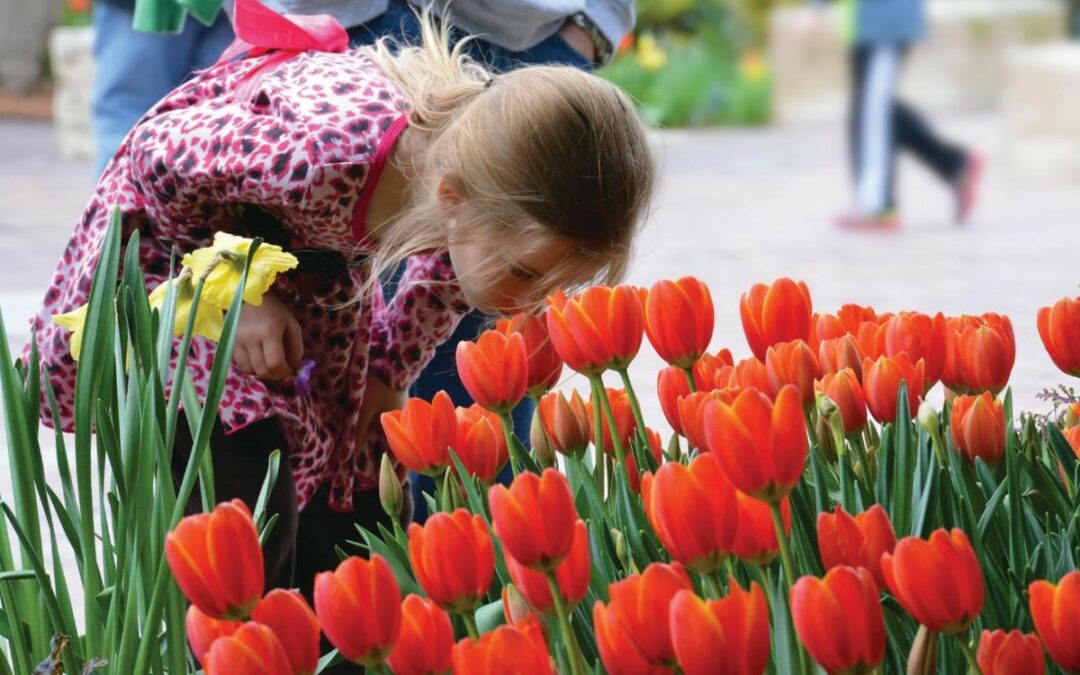 The Dallas Arboretum: Dallas Blooms